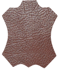 Elite